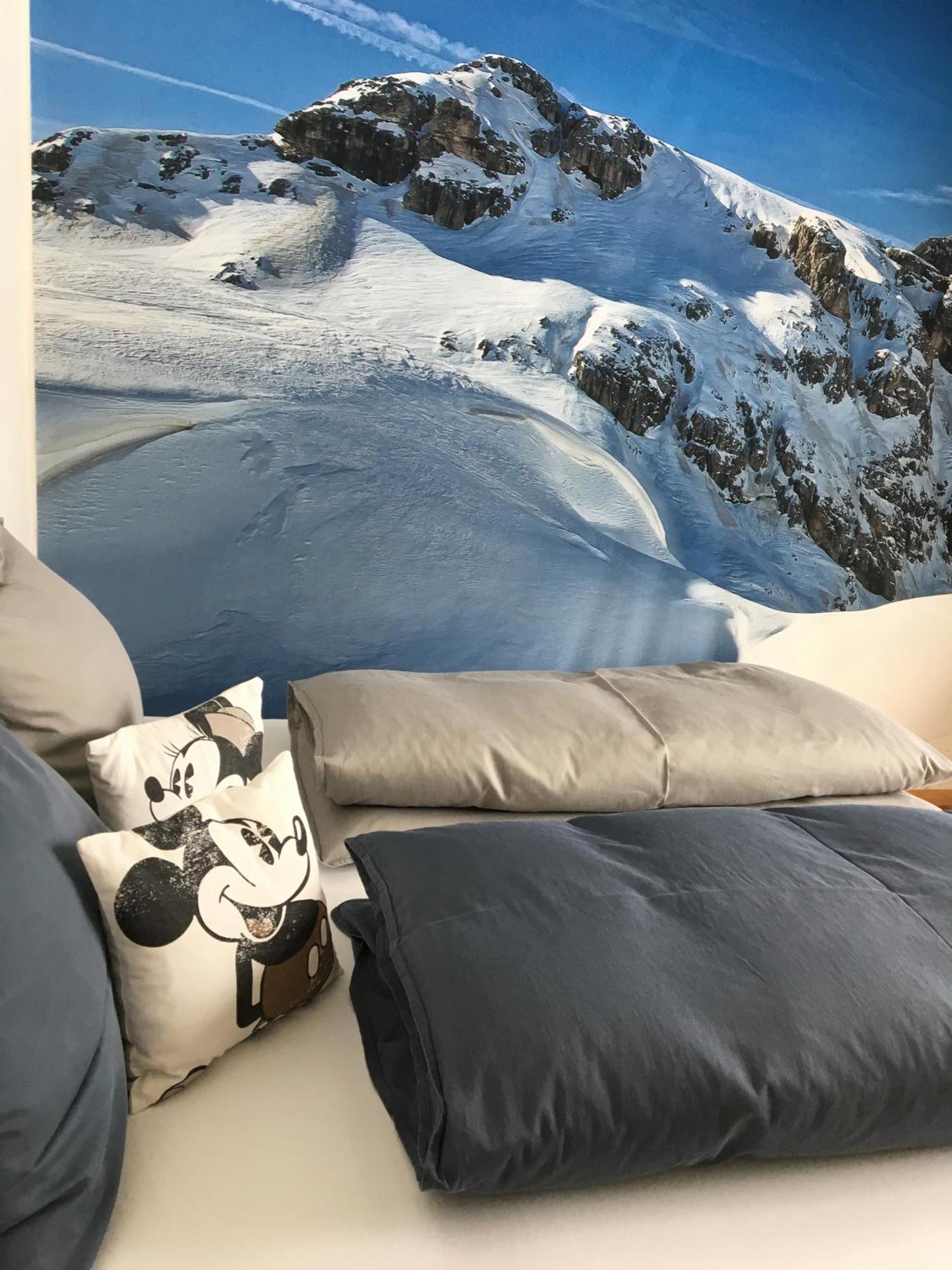 Alpin Appartement Reinhard Tritscher รัมเซา อัม ดาคชไตน์ ภายนอก รูปภาพ